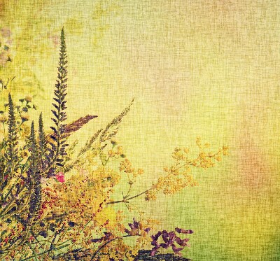 Fabric roller blind for window Plants