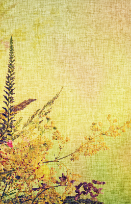 Fabric roller blind for window Plants