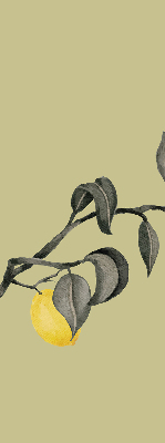 Blackout roller blind Lemons on the tree