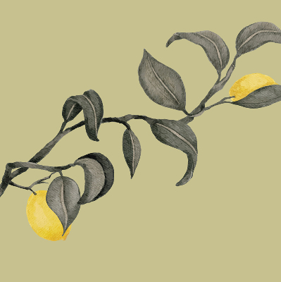 Blackout roller blind Lemons on the tree
