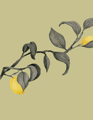 Blackout roller blind Lemons on the tree