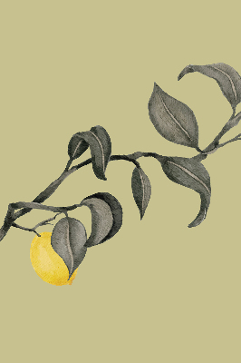 Blackout roller blind Lemons on the tree