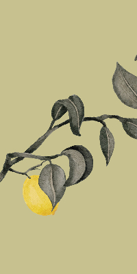 Blackout roller blind Lemons on the tree