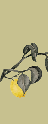 Blackout roller blind Lemons on the tree
