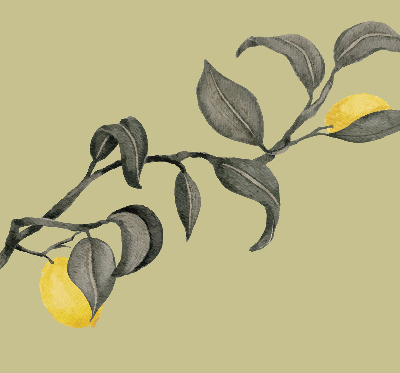 Blackout roller blind Lemons on the tree