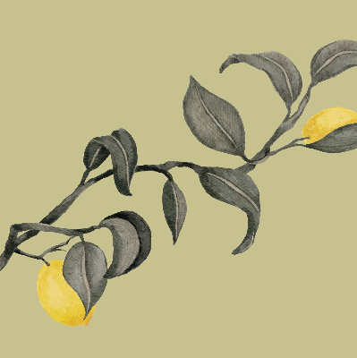 Blackout roller blind Lemons on the tree