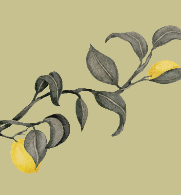 Blackout roller blind Lemons on the tree