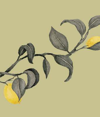 Blackout roller blind Lemons on the tree