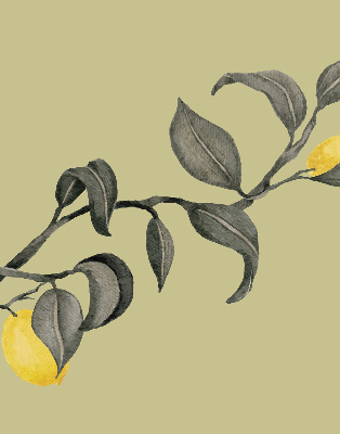 Blackout roller blind Lemons on the tree