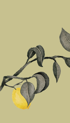 Blackout roller blind Lemons on the tree