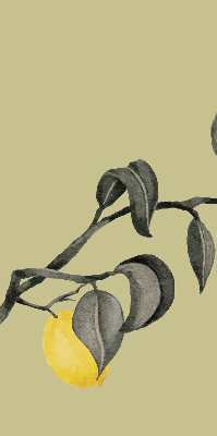Blackout roller blind Lemons on the tree