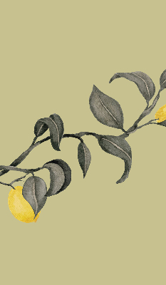 Blackout roller blind Lemons on the tree