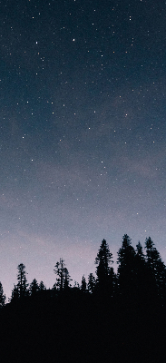 Fabric roller blind for window Starry sky