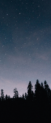 Fabric roller blind for window Starry sky