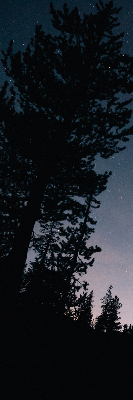 Fabric roller blind for window Starry sky