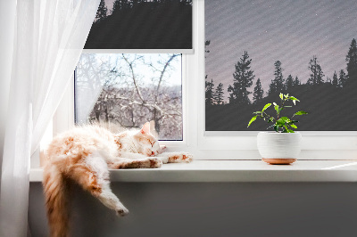 Fabric roller blind for window Starry sky