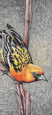 Blackout roller blind A bird on a branch