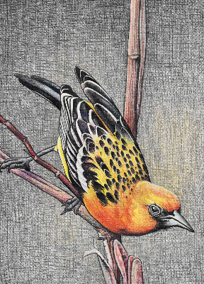 Blackout roller blind A bird on a branch