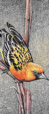 Blackout roller blind A bird on a branch
