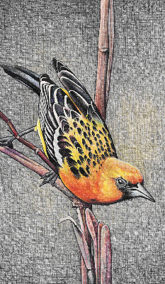 Blackout roller blind A bird on a branch