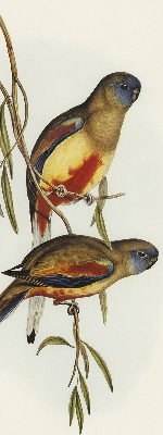 Blackout roller blind Two birds on a branch