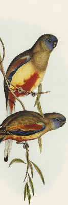 Blackout roller blind Two birds on a branch