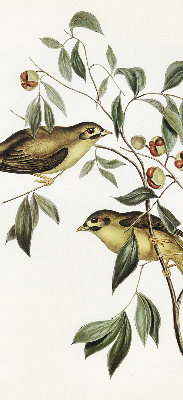 Blackout roller blind Birds on a tree