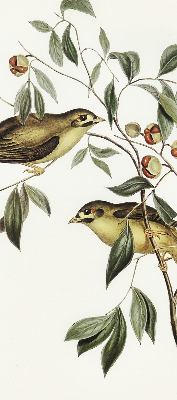 Blackout roller blind Birds on a tree
