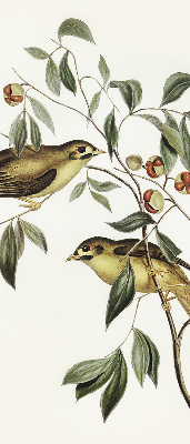 Blackout roller blind Birds on a tree