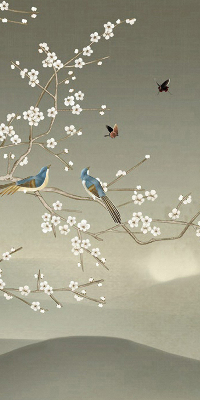 Blackout roller blind for window Birds on a branch