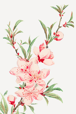 Blackout roller blind for window Pink flower