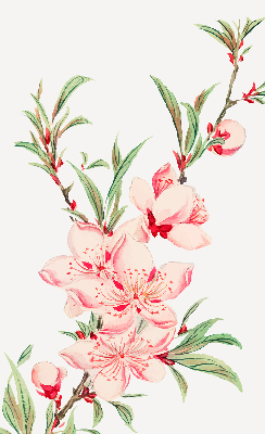 Blackout roller blind for window Pink flower