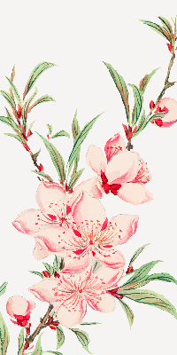 Blackout roller blind for window Pink flower