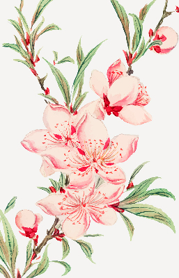 Blackout roller blind for window Pink flower