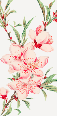 Blackout roller blind for window Pink flower