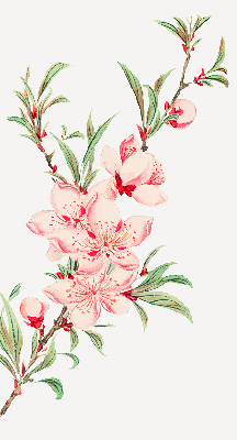 Blackout roller blind for window Pink flower