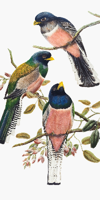 Fabric roller blind for window Birds on the branches