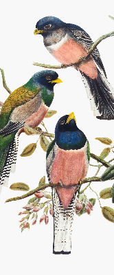 Fabric roller blind for window Birds on the branches