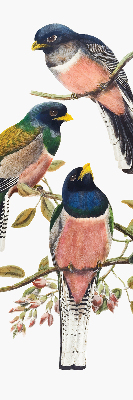 Fabric roller blind for window Birds on the branches
