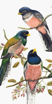 Fabric roller blind for window Birds on the branches