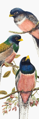 Fabric roller blind for window Birds on the branches
