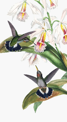 Blackout roller blind Birds on a flower