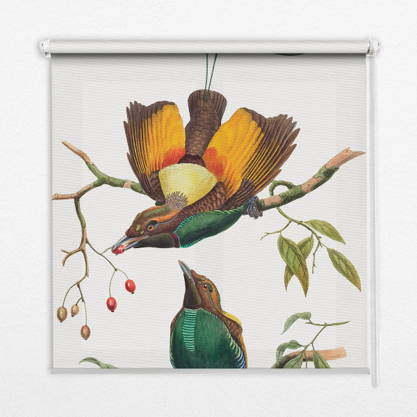 Blackout roller blind for window Birds on a branch
