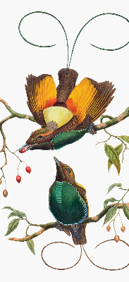 Blackout roller blind for window Birds on a branch