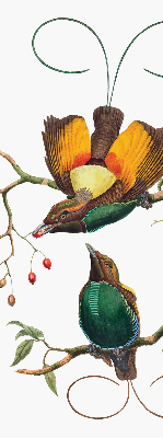 Blackout roller blind for window Birds on a branch