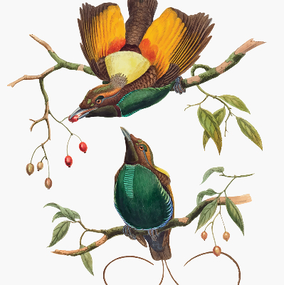 Blackout roller blind for window Birds on a branch