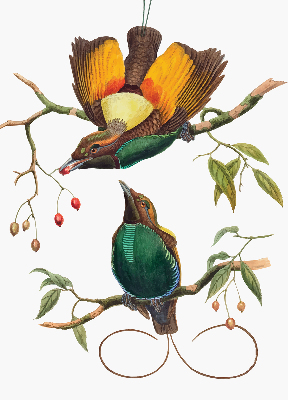 Blackout roller blind for window Birds on a branch