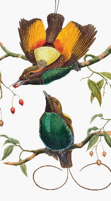 Blackout roller blind for window Birds on a branch