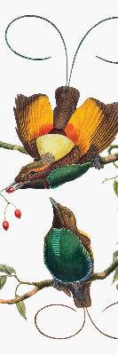 Blackout roller blind for window Birds on a branch
