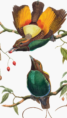 Blackout roller blind for window Birds on a branch